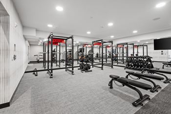 the gym is equipped with weights and cardio equipment and a television